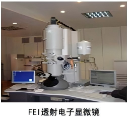 FEI透射电子显微镜