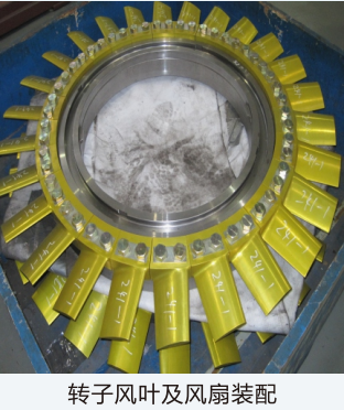 转子风叶及风扇装配